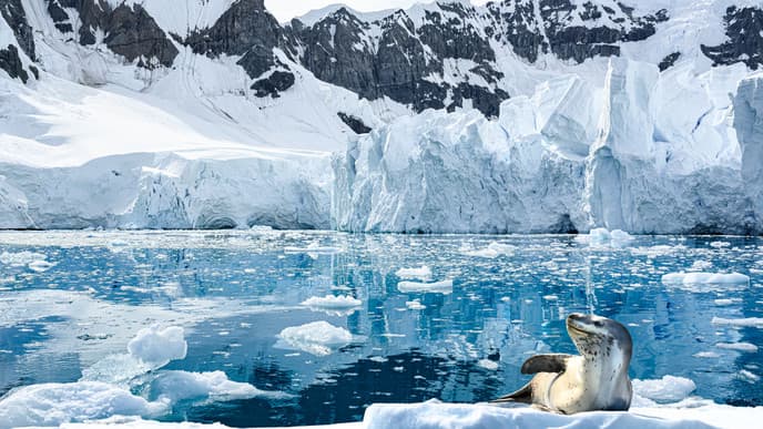 Welcome to Paradise Bay