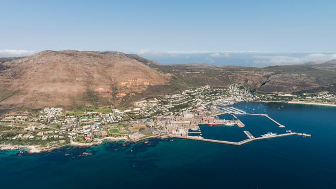 Tauchgänge mit Robben im Kelpwald