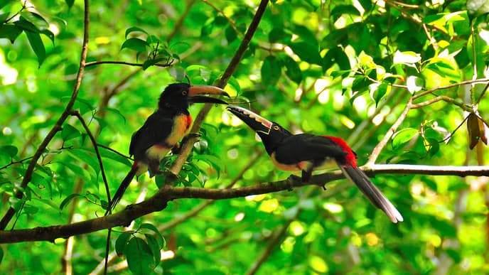 Besuch der Gemeinde Yalcobá