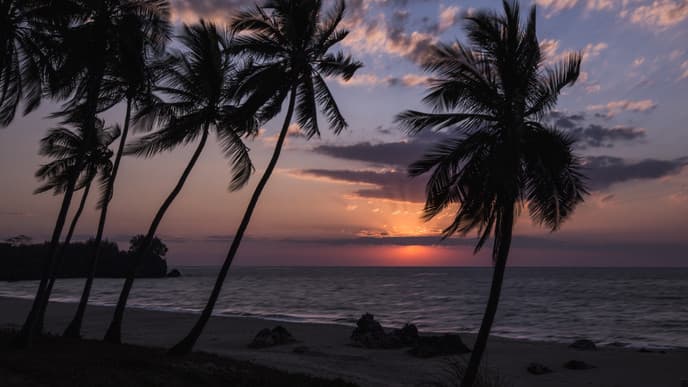 Marvel At Beauty at Anjajavy Peninsula