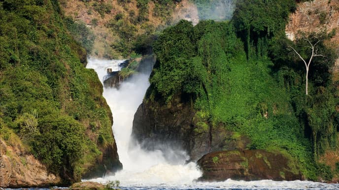 Make Your Way To Murchison Falls National Park