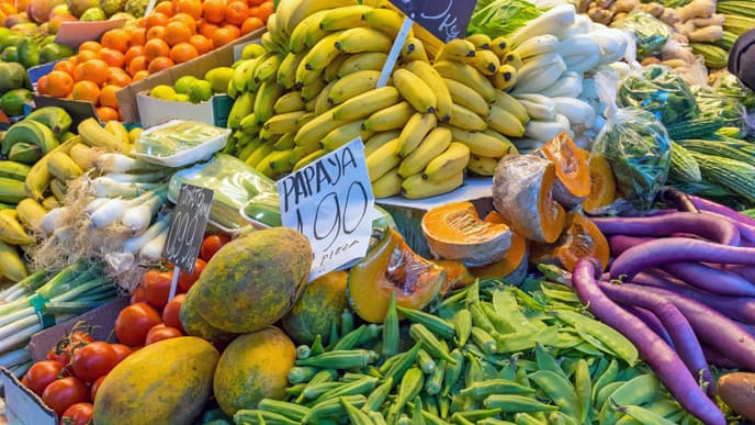 Explore The Flavors Of Santiago!