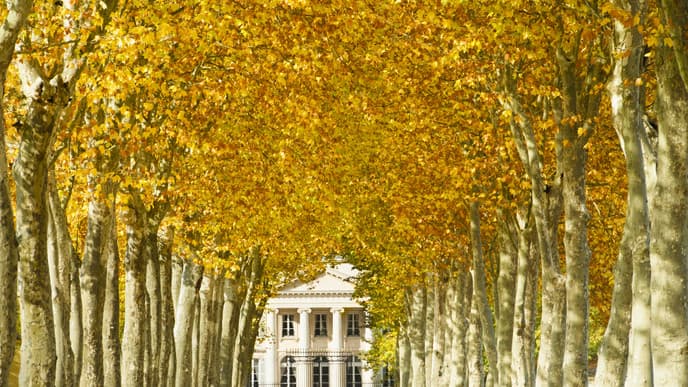 Explore rich flavors in Bordeaux