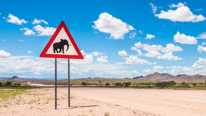 A very special stay in Twyfelfontein