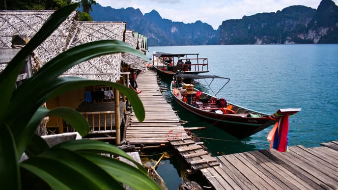 Ein Millionen Jahre alter Regenwald