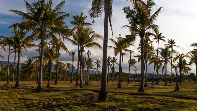 West Bali Nationalpark