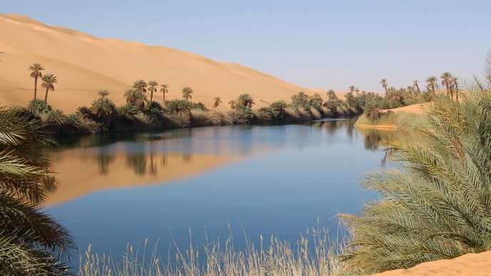 Journey to Bahariya Oasis