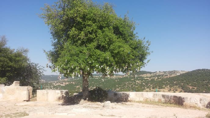 Discover The Ruins in Mar Elias