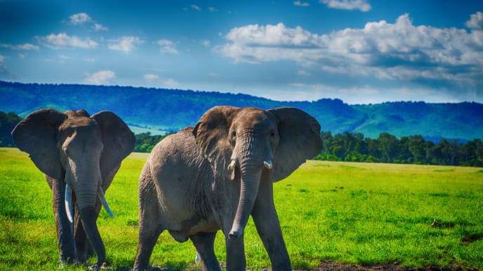 Aktivitäten im Addo Elephant Nationalpark