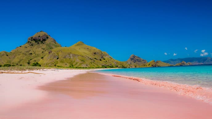 Another day of wonder on Komodo