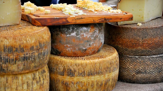Pecorino-Käse vom Bauernhof