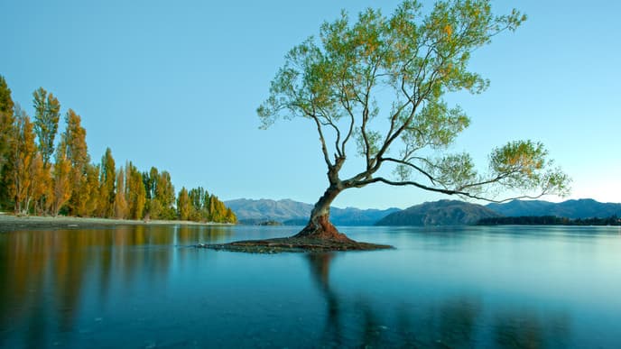 Drive to the Southern Alps
