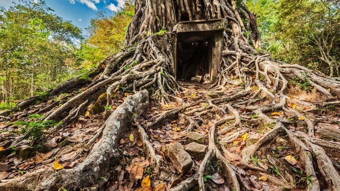 Delve into the Villages of Cambodia