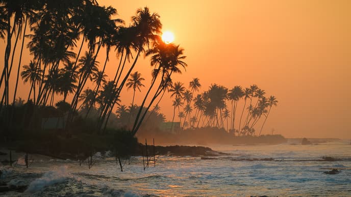 Your final day in paradise