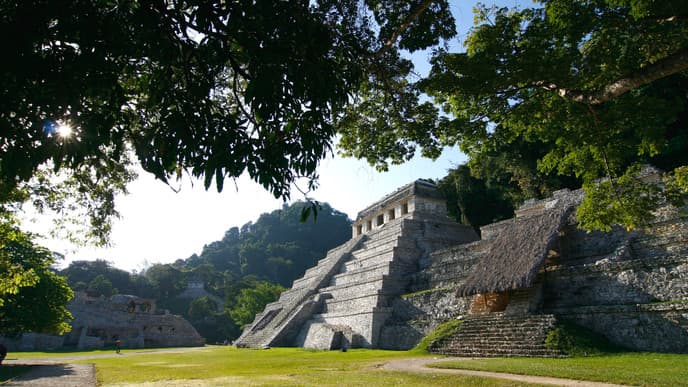 Explore the Spectacular Ruins at Palenque