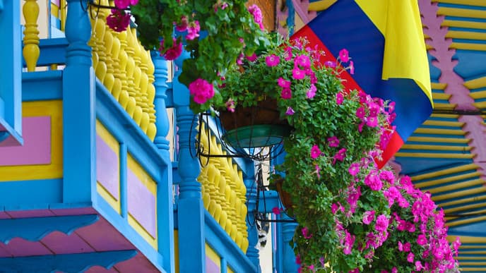 Cliffs, Mangroves and Wildlife