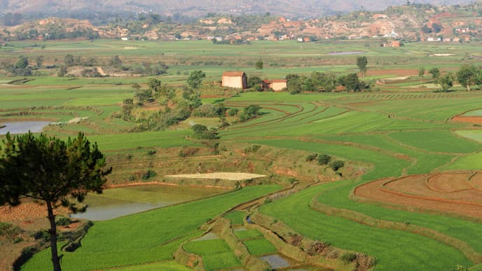 Experience The Farmer Lifestyle At Betafo