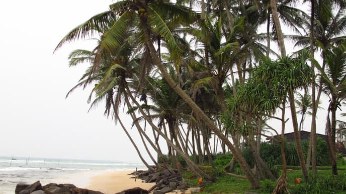 One last day at the beach