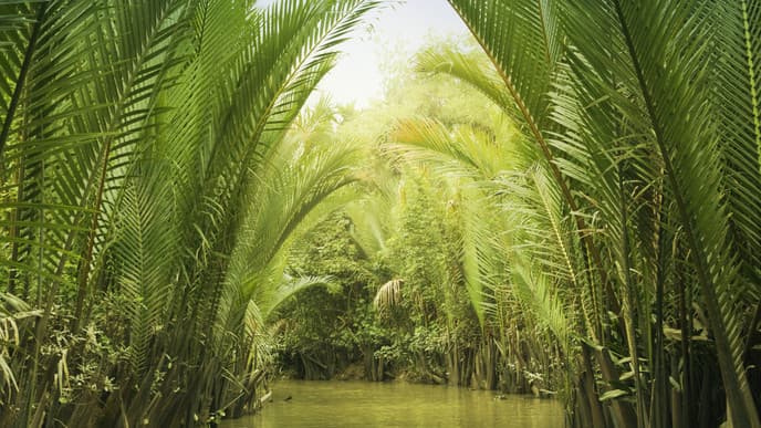 Mekong-Delta-Tour