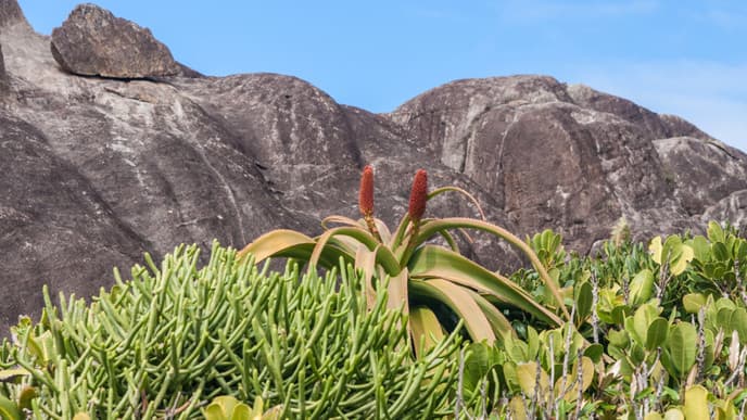 Enjoy A Moonrise Experience In The Mountains