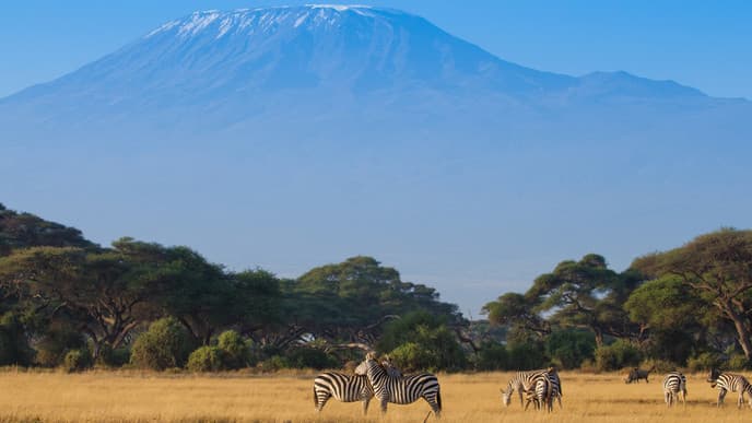 Pirsch im Amboseli Nationalpark