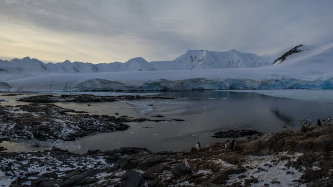 Cruise to historic Port Lockroy