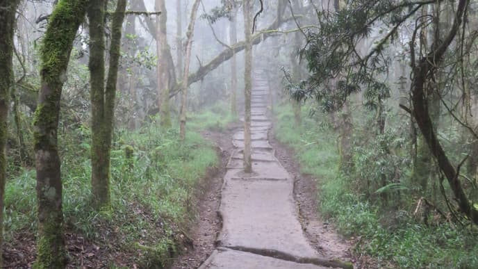 Abstieg und Rückkehr nach Moshi