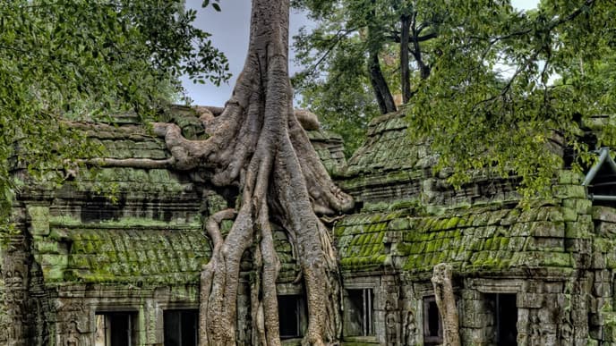 Marvel at the iconic Angkor Wat
