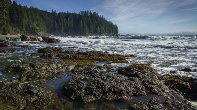 Hike Through Stunning Coastal Sceneries
