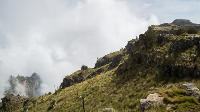 Jinbar Waterfall & Highland Flora