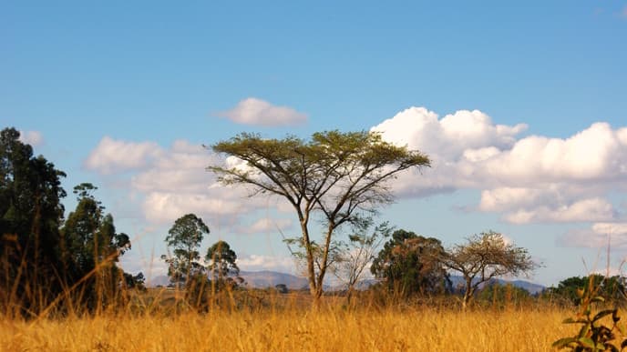 Bathe in the Culture of Swaziland