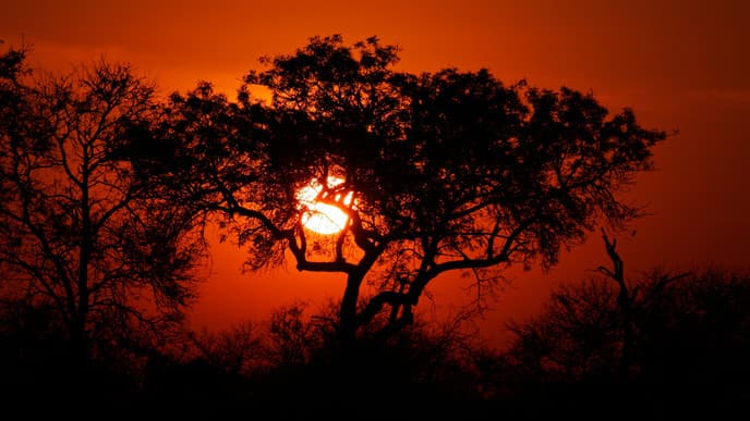 Discover the Beauty of South Africa Landscapes