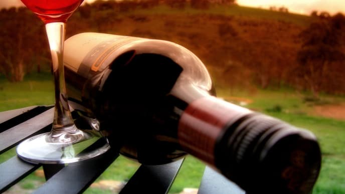 On the McLaren Vale wine trail