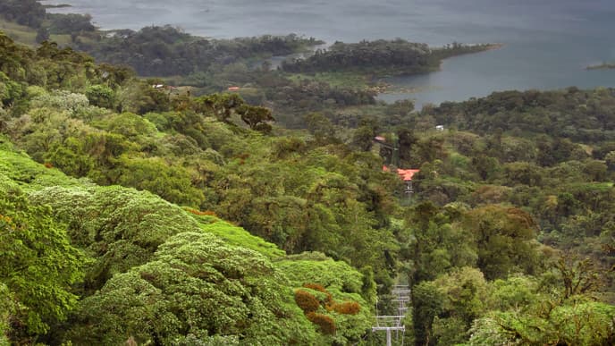 Wandern am Vulkan Arenal & optionale Möglichkeiten