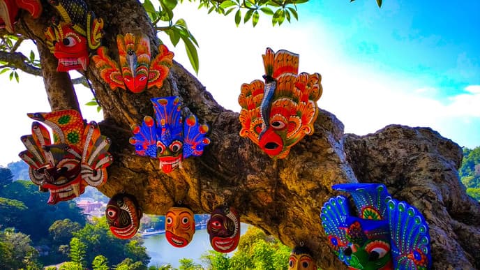 The highlights of Negombo & Kandy