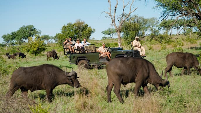 Satara Rest Camp im Krüger Nationalpark