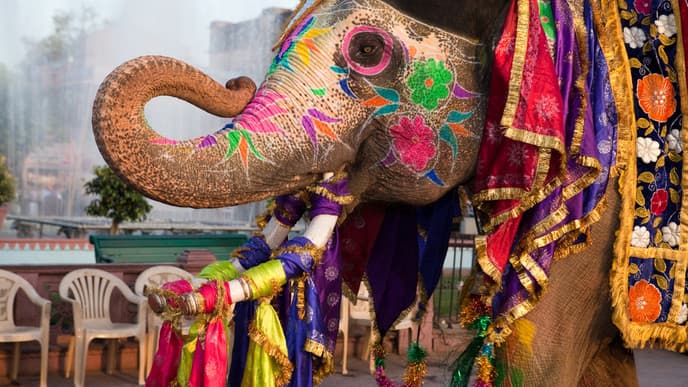 The sights of the 'Pink City'