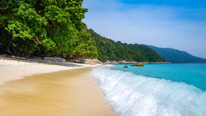 Choose Your Own Tropical Island Adventure