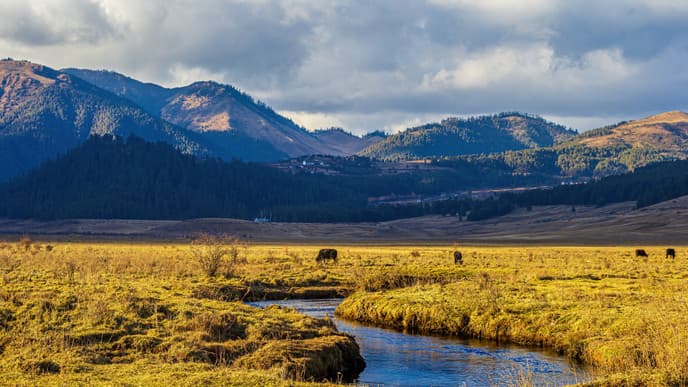 Authentisches Dorfleben in Phobjikha
