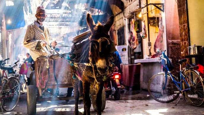 Walk through Moroccan history