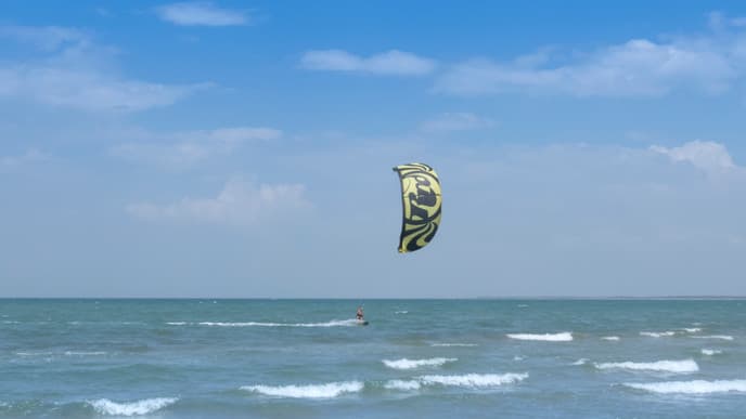 Auf der Suche nach Walen und Delfinen