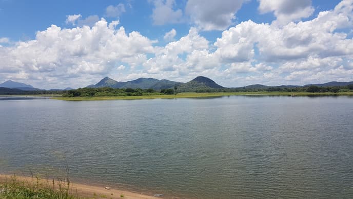 Fahrt mit dem Ochsenkarren