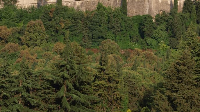 Explore Montecassino Abbey & a lovely village