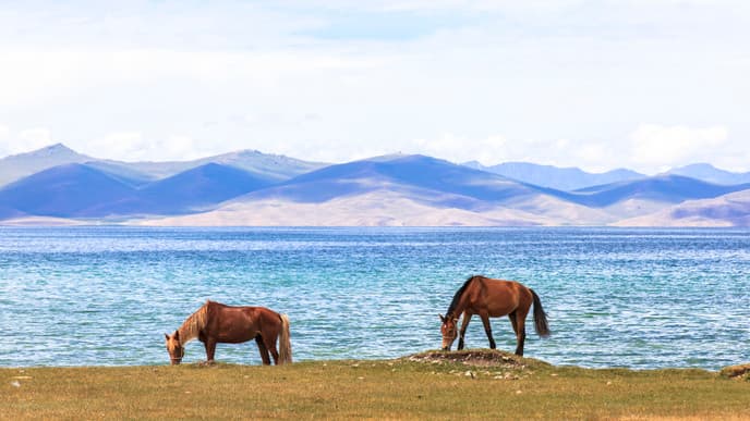 Spend the Night at a Nomad Yurt Camp