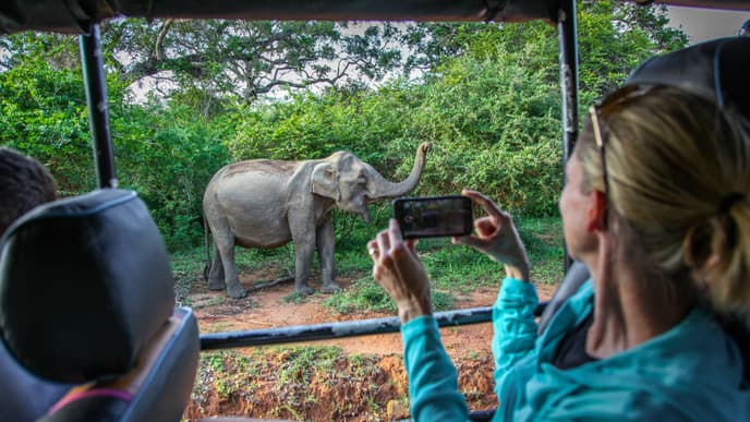 Searching for leopards in Yala National Park