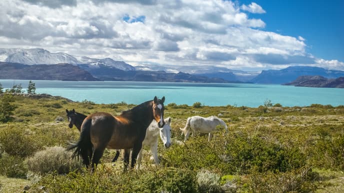 Journey to the shores of the Corazon Lagoon