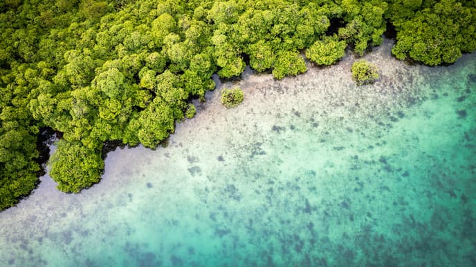 Tropical island escape