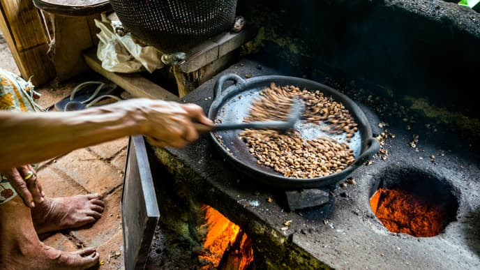 Learn All About Coffee in Arusha