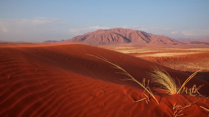 Venture across desert sands