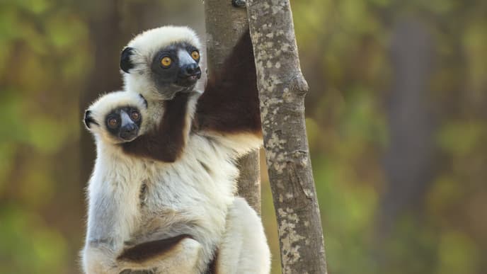 Die Bucht von Moramba & Dorfbesuch